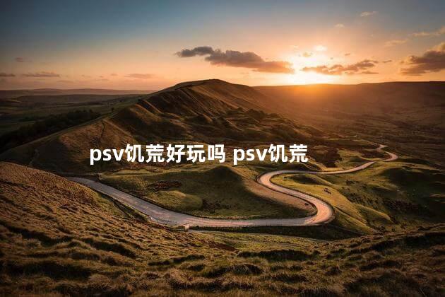 psv饥荒好玩吗 psv饥荒